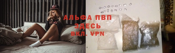 молекула духа Горняк