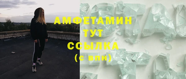 стаф Абаза