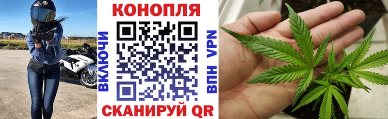 Канабис семена  даркнет как зайти  Томилино 